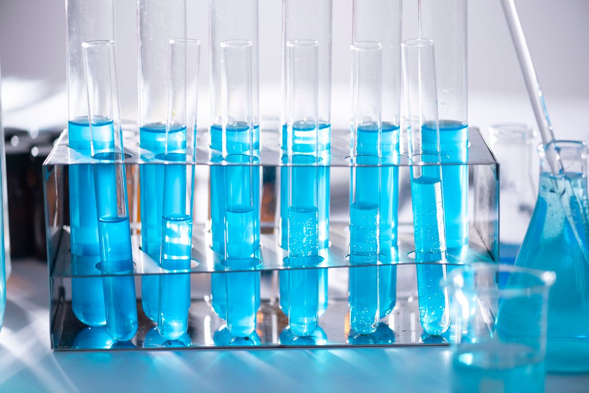 Students at work in a science laboratory